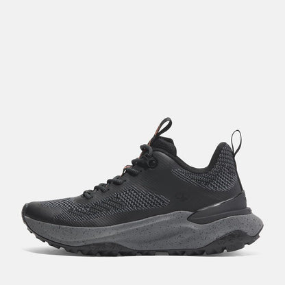 Timberland Low Lace-Up Sneaker